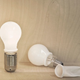 Illustration for article titled Light Bulb Condom Does Not Protect Against STDs, Only the Dreaded EU